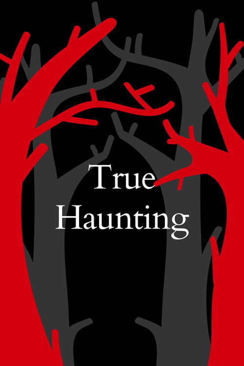 Постер фильма «The Haunting in Wicker Park»