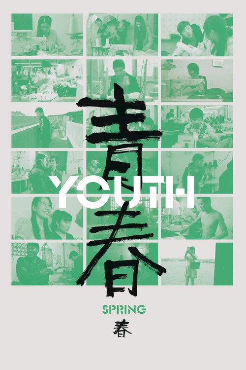 Постер фильма «青春(春)»