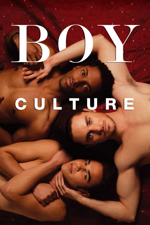 Постер фильма «Boy Culture»