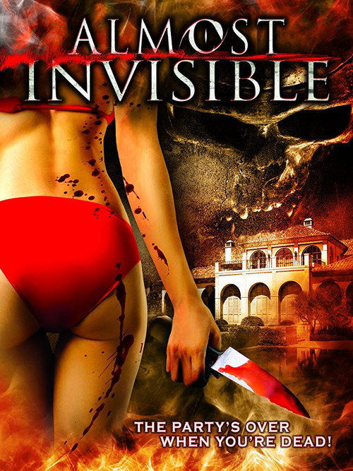 Постер фильма «Almost Invisible»