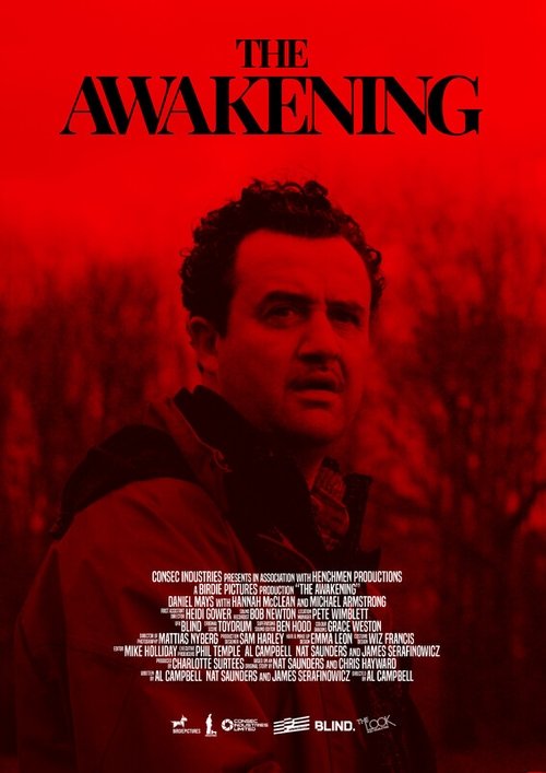 Постер фильма «The Awakening»