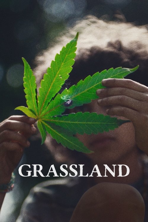 Постер фильма «Grassland»