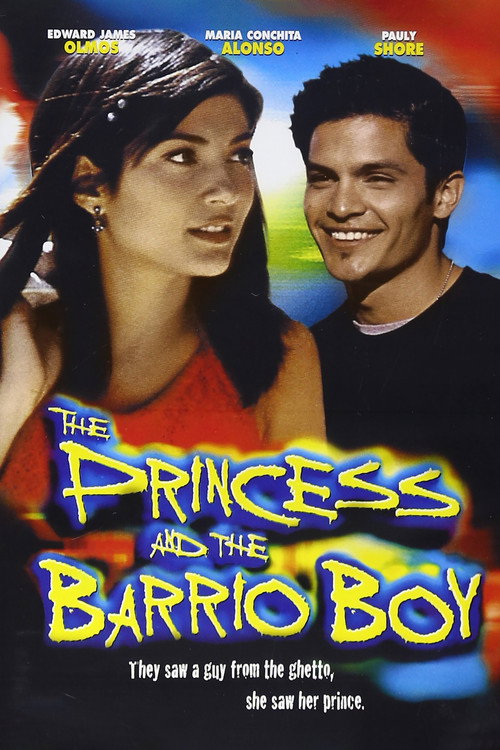 Постер фильма «The Princess and the Barrio Boy»