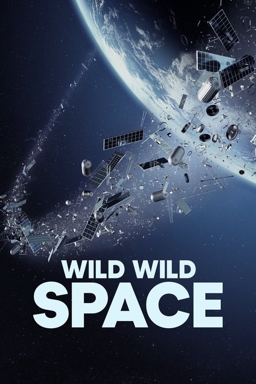 Постер фильма «Wild Wild Space»