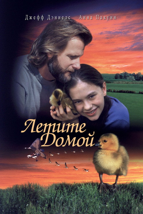Постер фильма «Летите домой»