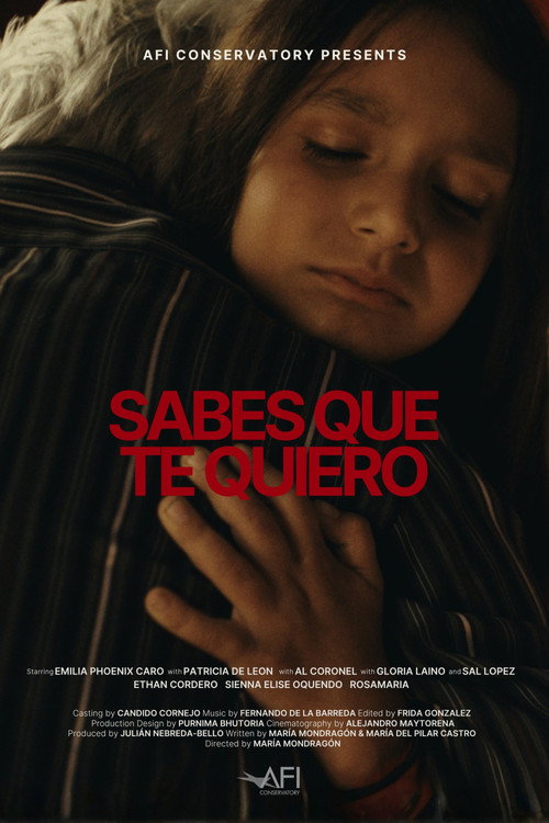 Постер фильма «Sabes Que Te Quiero»