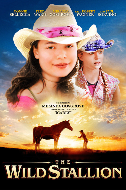 Постер фильма «The Wild Stallion»
