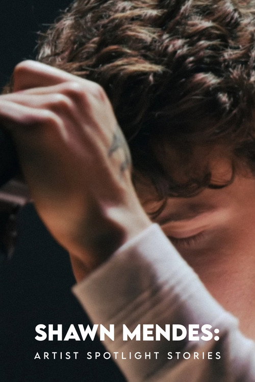 Постер фильма «Shawn Mendes: Artist Spotlight Stories»