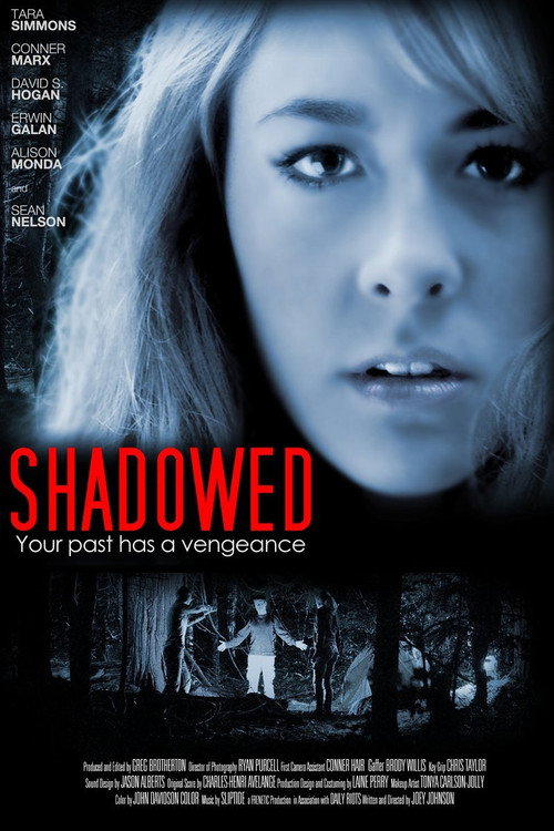 Постер фильма «Shadowed»