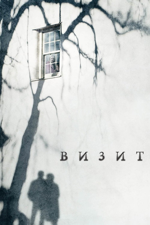 Постер фильма «Визит»