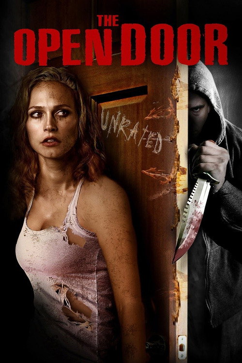 Постер фильма «The Open Door»