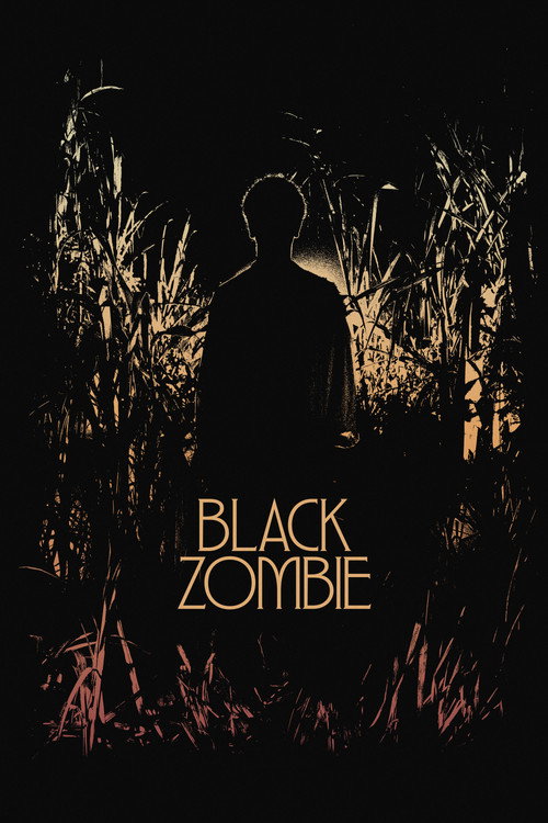 Постер фильма «Black Zombie»