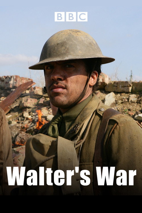 Постер фильма «Walter's War»