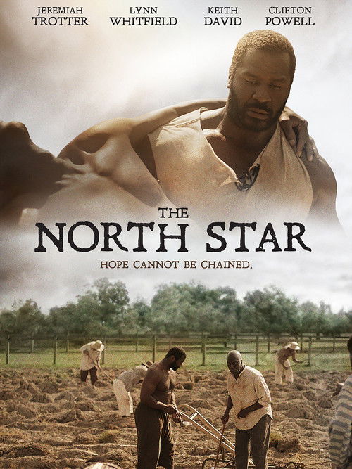 Постер фильма «The North Star»