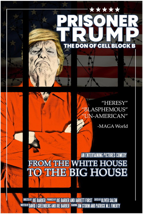Постер фильма «Prisoner Trump: The Don of Cell Block B»