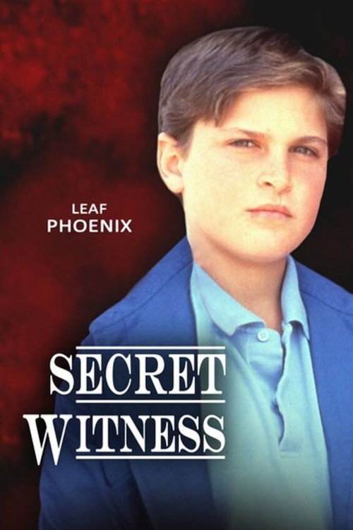 Постер фильма «Secret Witness»