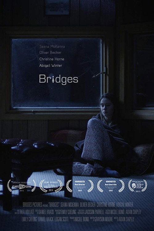 Постер фильма «Bridges»