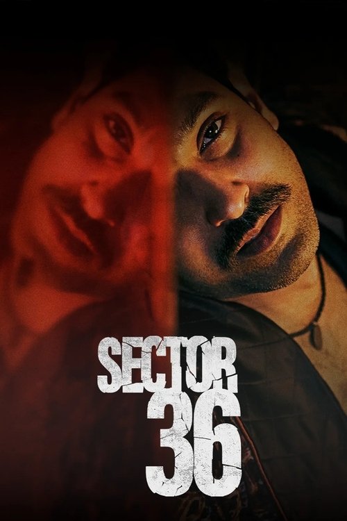 Постер фильма «Sector 36»