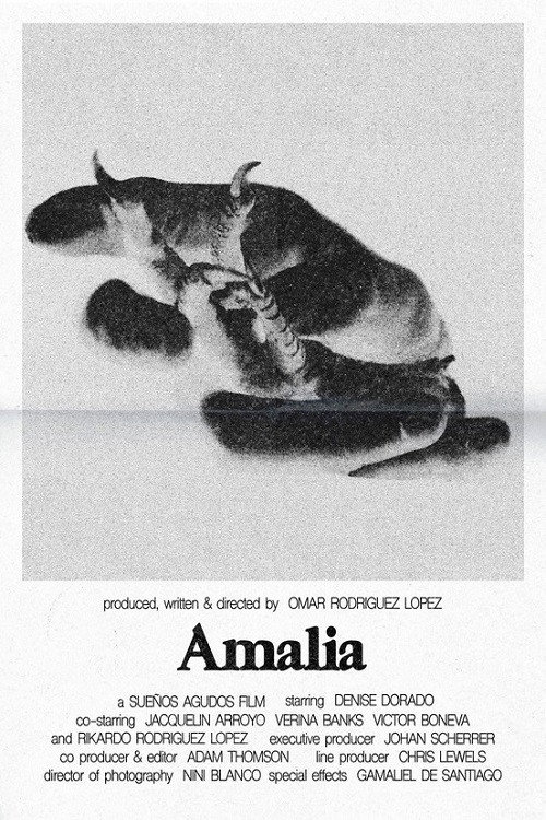 Постер фильма «Amalia»
