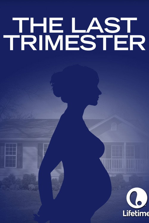 Постер фильма «The Last Trimester»