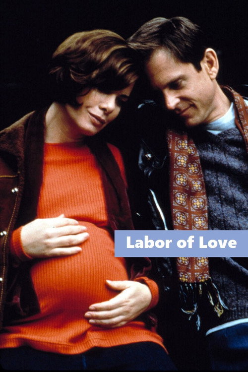 Постер фильма «Labor of Love»