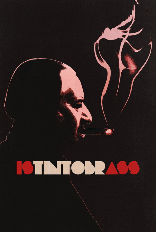 Постер фильма «Istintobrass»