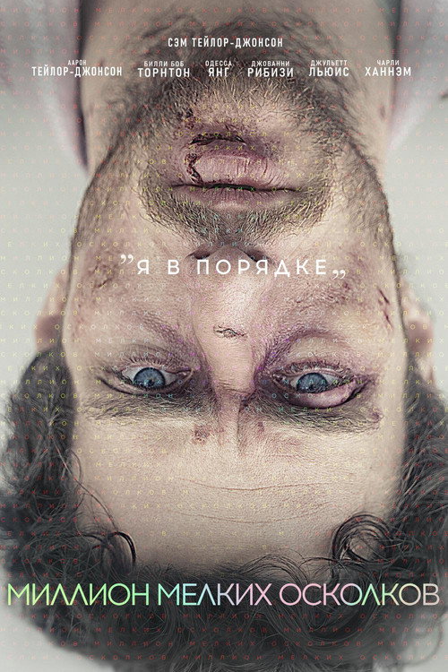Постер фильма «Миллион мелких осколков»