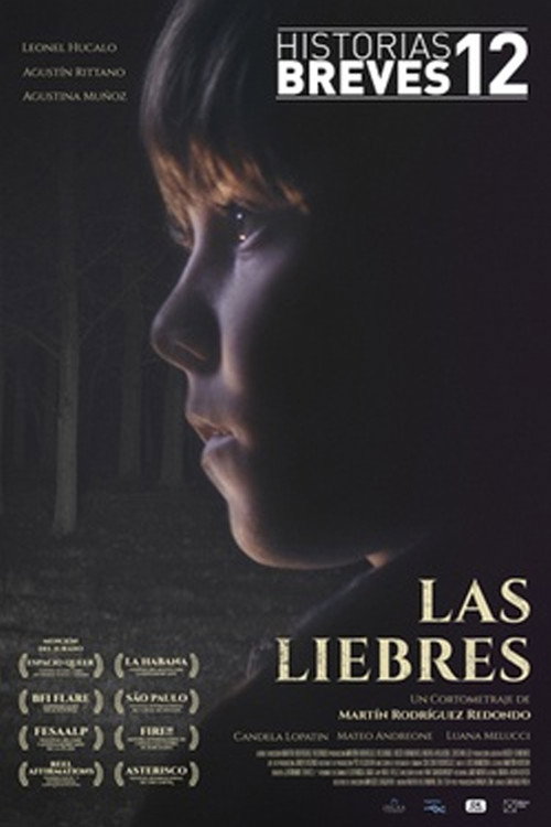 Постер фильма «Las Liebres»