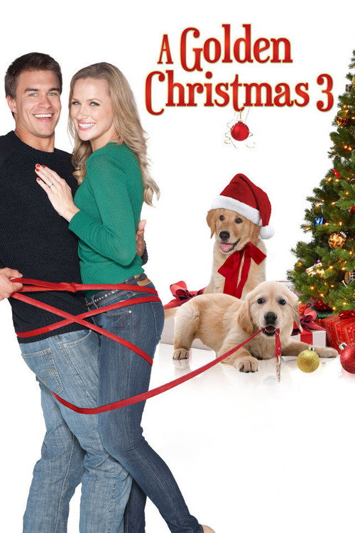 Постер фильма «A Golden Christmas 3»