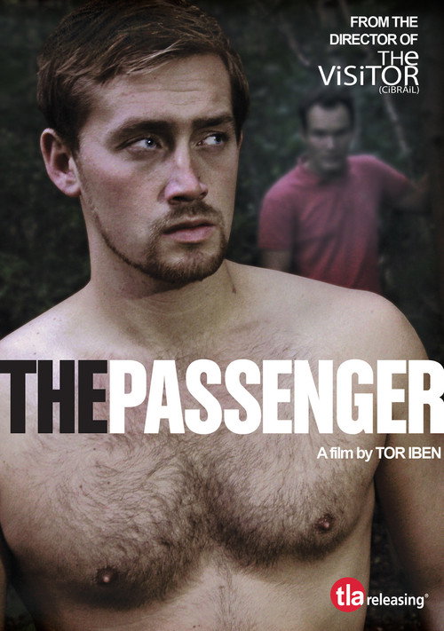 Постер фильма «The Passenger»
