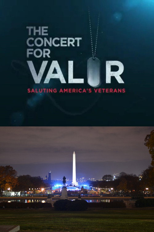 Постер фильма «The Concert for Valor»