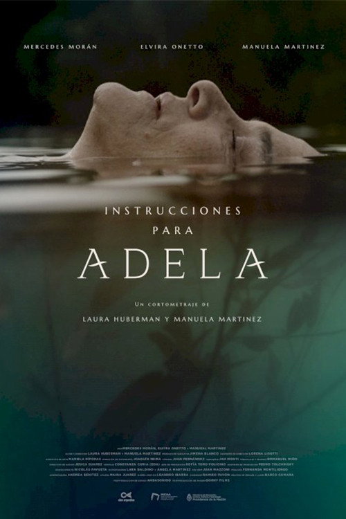 Постер фильма «Instrucciones para Adela»