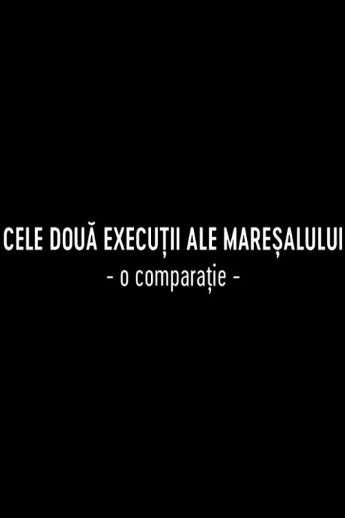 Постер фильма «Две казни маршала»