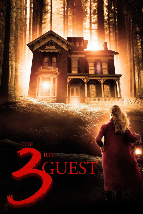 Постер фильма «The 3rd Guest»