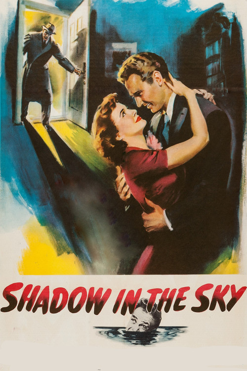 Постер фильма «Shadow in the Sky»