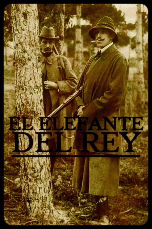 Постер фильма «El elefante del rey»