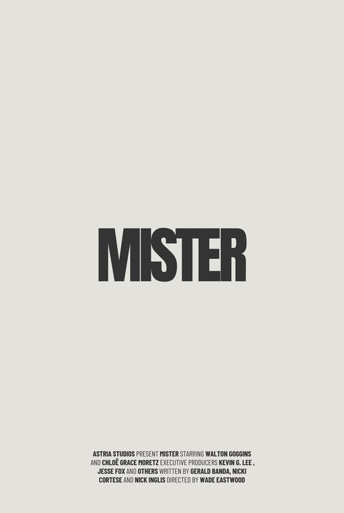 Постер фильма «Mister»