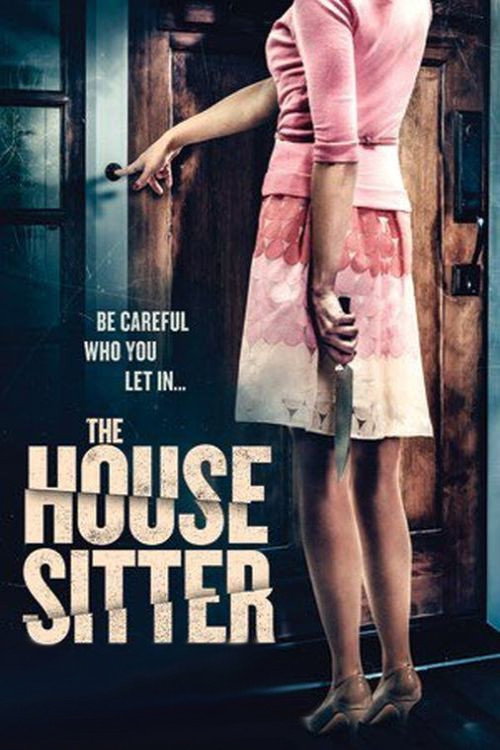 Постер фильма «The House Sitter»