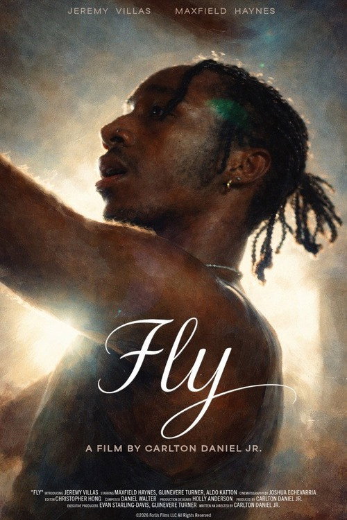 Постер фильма «Fly»
