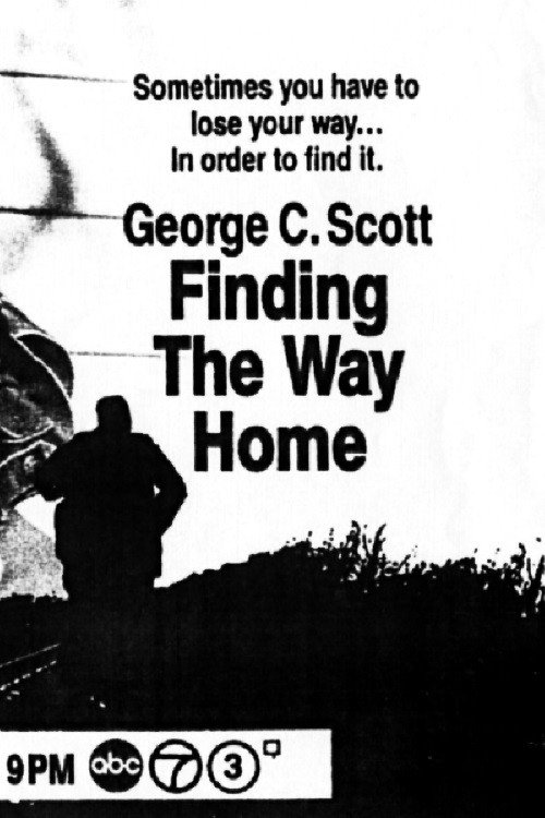 Постер фильма «Finding the Way Home»