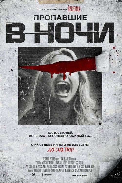 Постер фильма «Пропавшие в ночи»