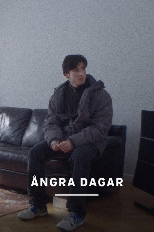 Постер фильма «Days of Regret»