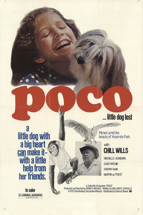 Постер фильма «Poco… Little Dog Lost»