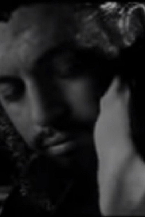 Постер фильма «Meeting Che Guevara & the Man from Maybury Hill»