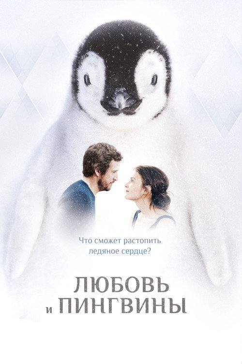 Постер фильма «Любовь и пингвины»