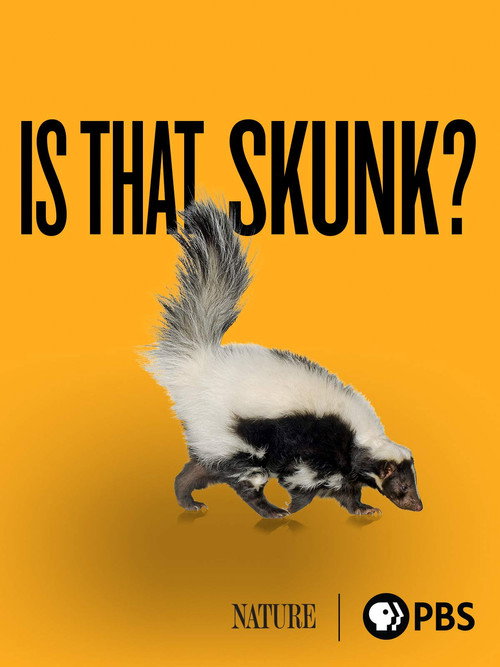 Постер фильма «Is That Skunk?»