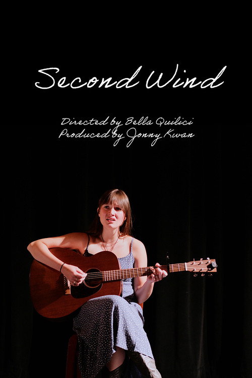 Постер фильма «Second Wind»