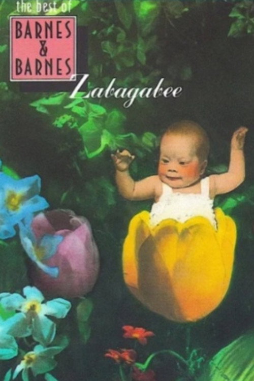 Постер фильма «Zabagabee»