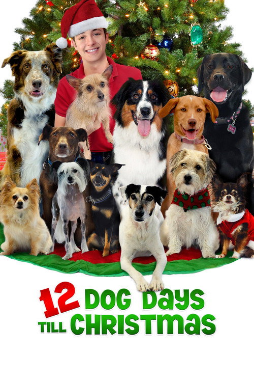 Постер фильма «12 Dog Days Till Christmas»