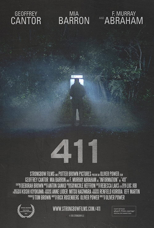 Постер фильма «411»